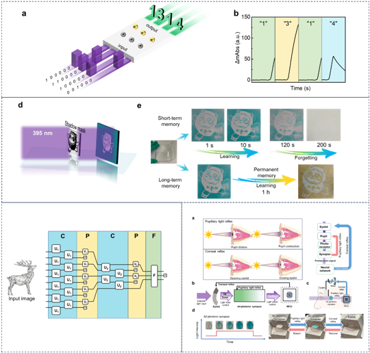 6672c8babe8e3.png image.png