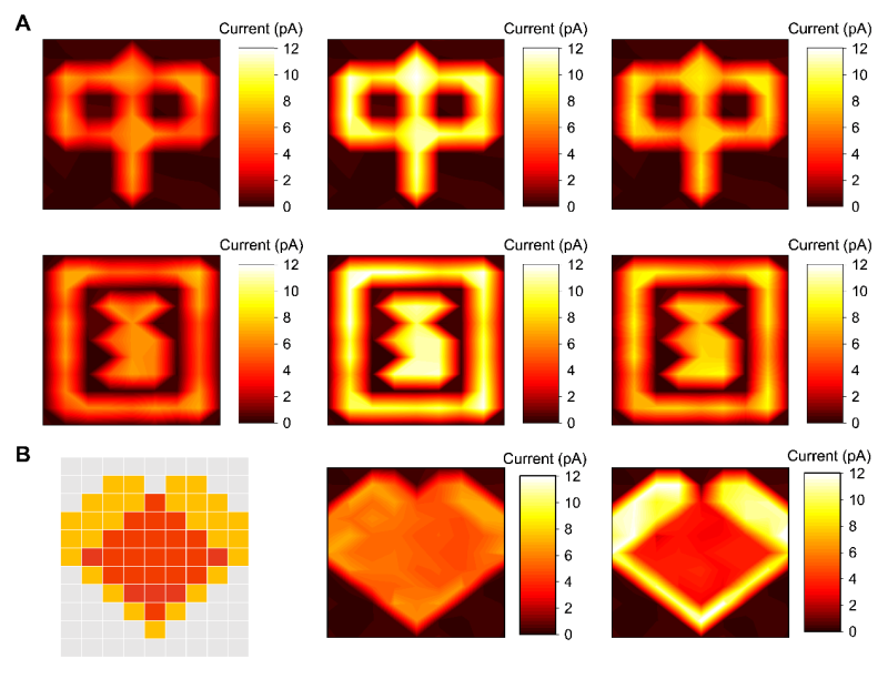 60ed5768edb58.png 60ed5768edb58.png